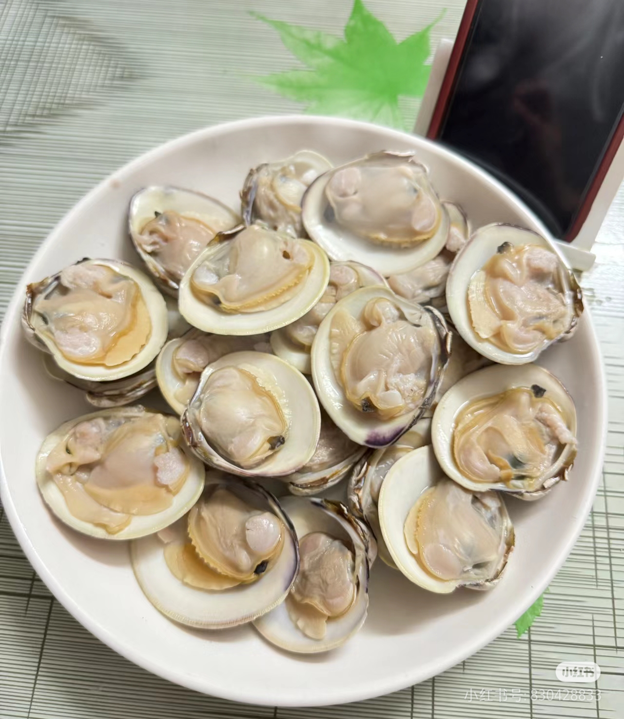 鲜活大号美贝 2斤