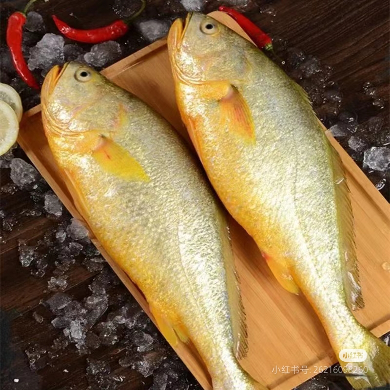 冰鲜大黄鱼1条  1斤左右