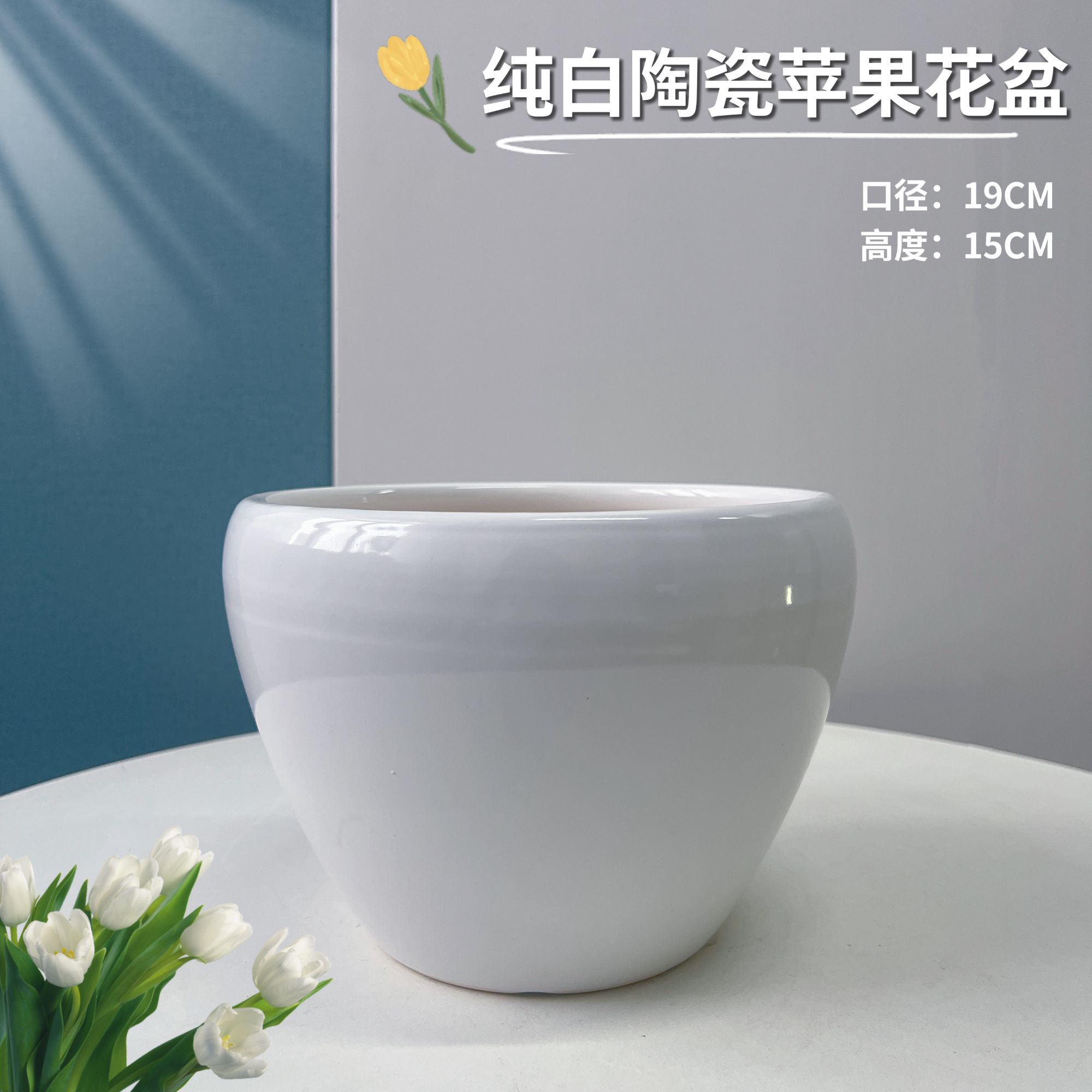 1只装纯白苹果口19高15君子兰蝴蝶兰绿箩简约百搭通用陶瓷花盆