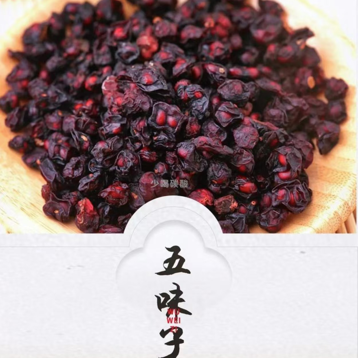 长白山里的红宝石 北五味子