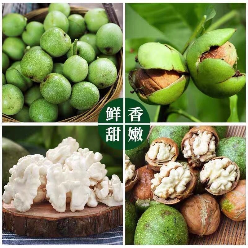 到手5斤鲜核桃  大核桃