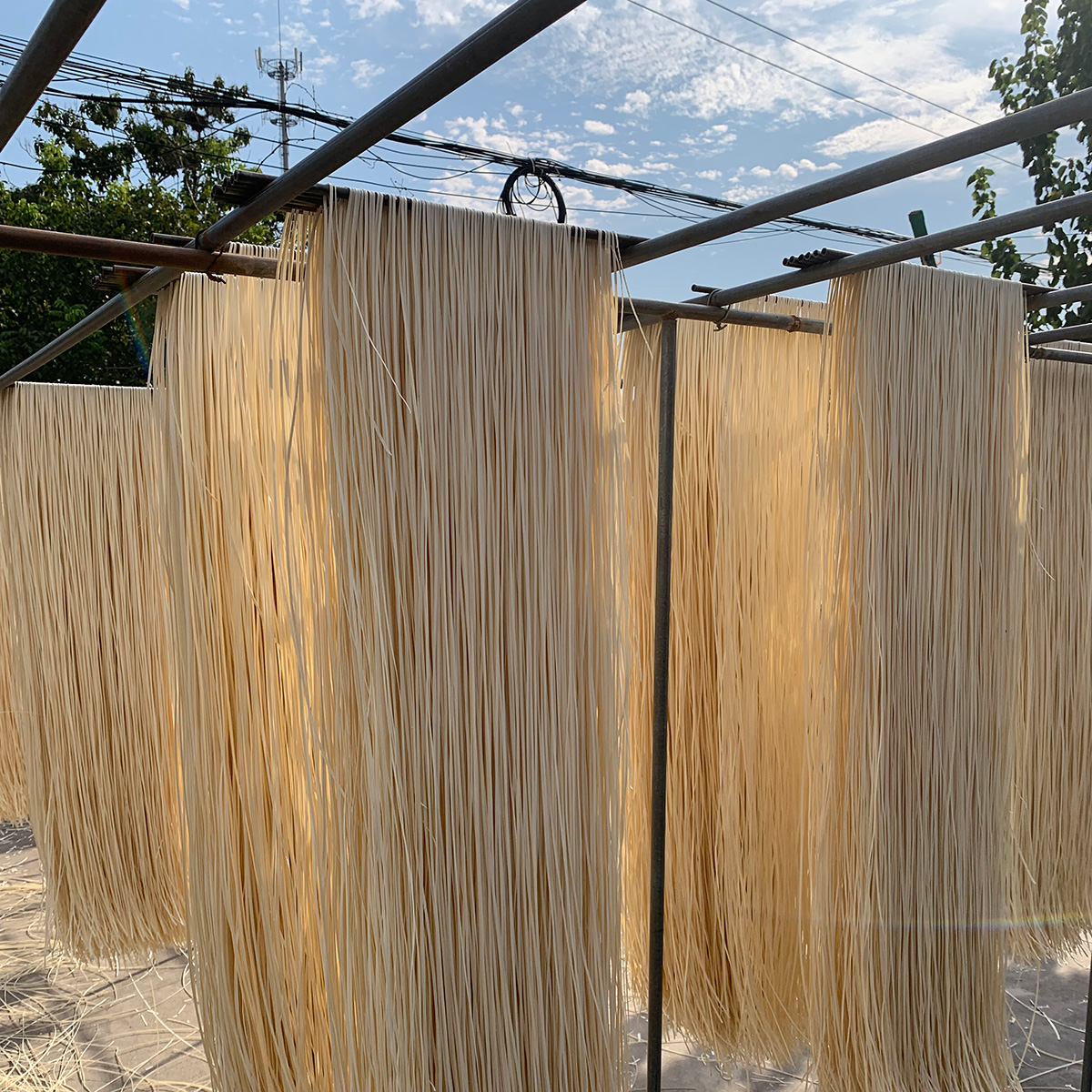 农村土麦子太阳晾晒自然风干面条