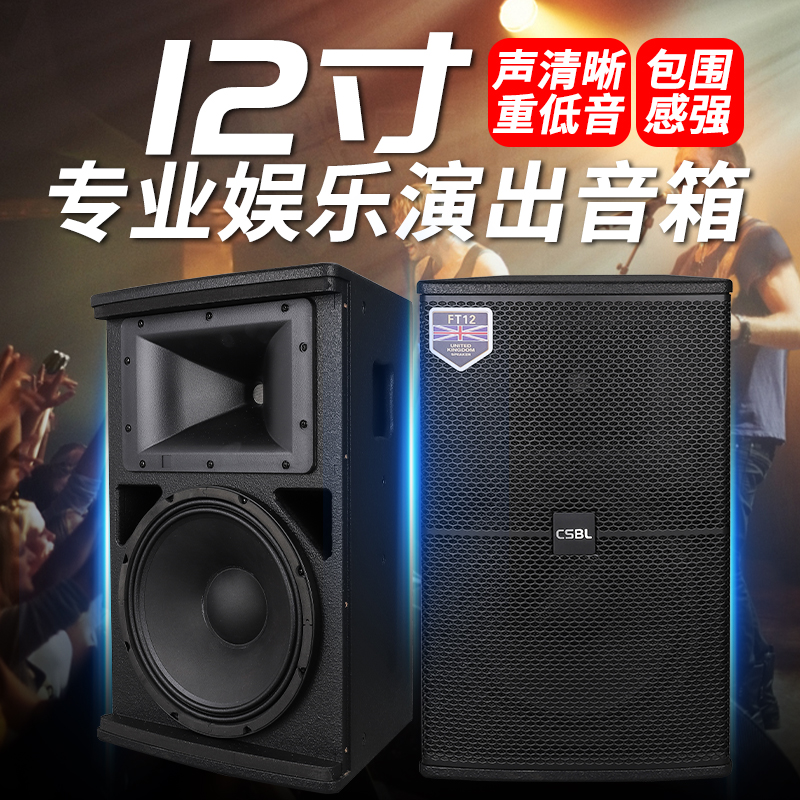 重低音低频精选FT12寸专业音响家庭KTV户外演出酒吧专用前导音响