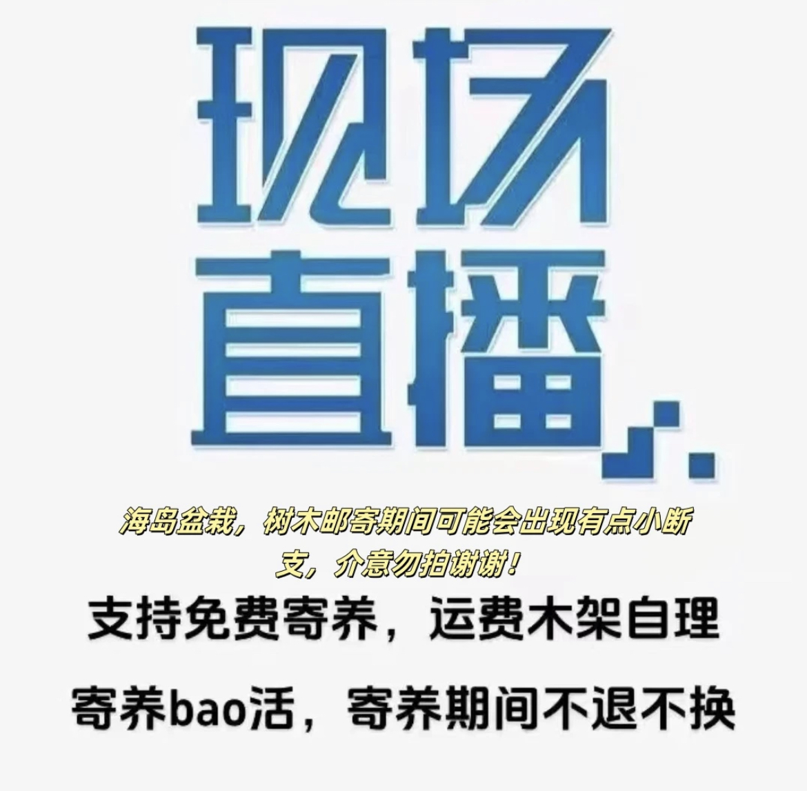 直播链接 春花栀子花一物一拍