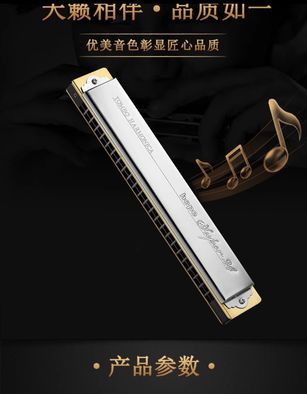 通宝6624S  24孔复音口琴成人专业演奏级初学者用高级口风琴