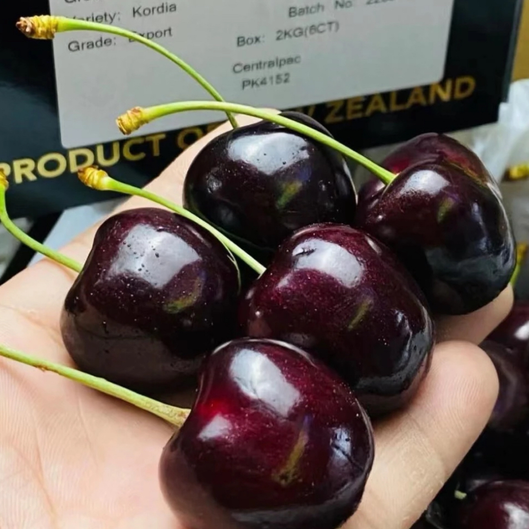 【海运科迪亚】JJ-JJJJJ5J-5斤装车厘子顺丰京东 内附果径卡