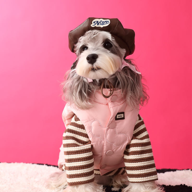 狗狗衣服秋冬加厚保暖羽绒马甲约克夏雪纳瑞泰迪比熊无袖羽绒背心