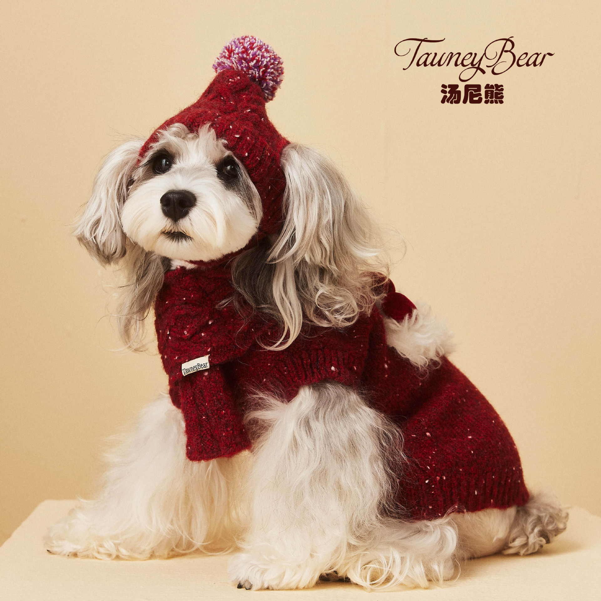 汤尼熊TawneyBear宠物狗狗用品雪纳瑞泰迪比熊配饰 毛线帽子+围巾