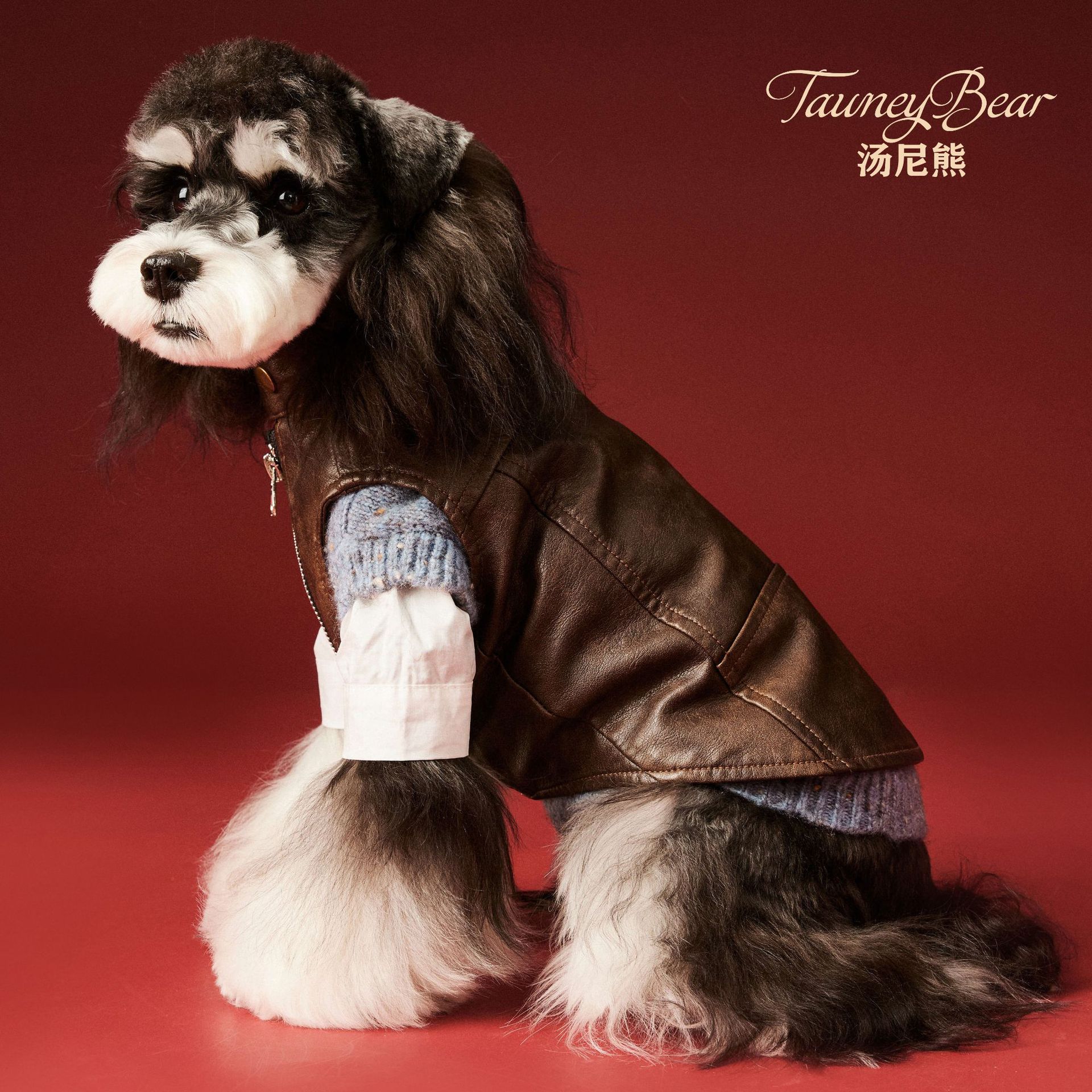 汤尼熊 狗狗衣服秋装夹克泰迪雪纳瑞马尔济斯帅气无袖皮马甲背心