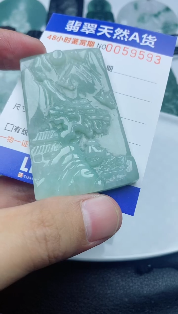 【闪购商品】翡翠颈饰未镶嵌1