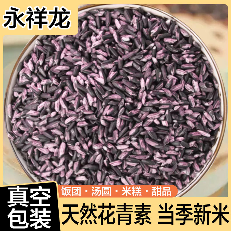 永祥龙紫米紫糯米农家老品种血糯米非黑米饭团热奶宝粽子五谷杂粮