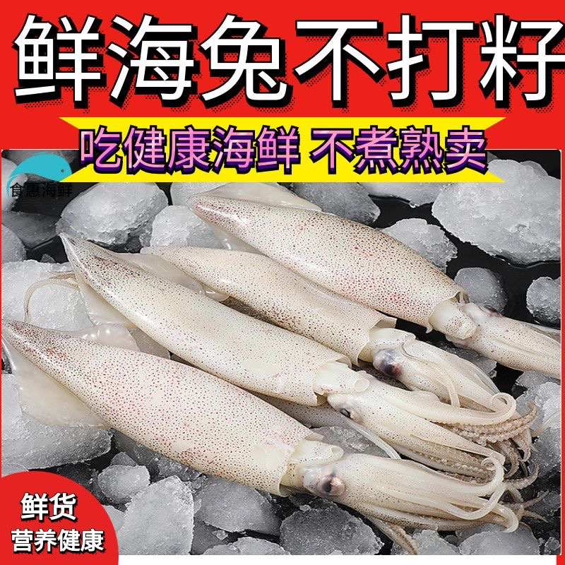新鲜带籽野生笔管海兔 冰鲜发货3斤 
