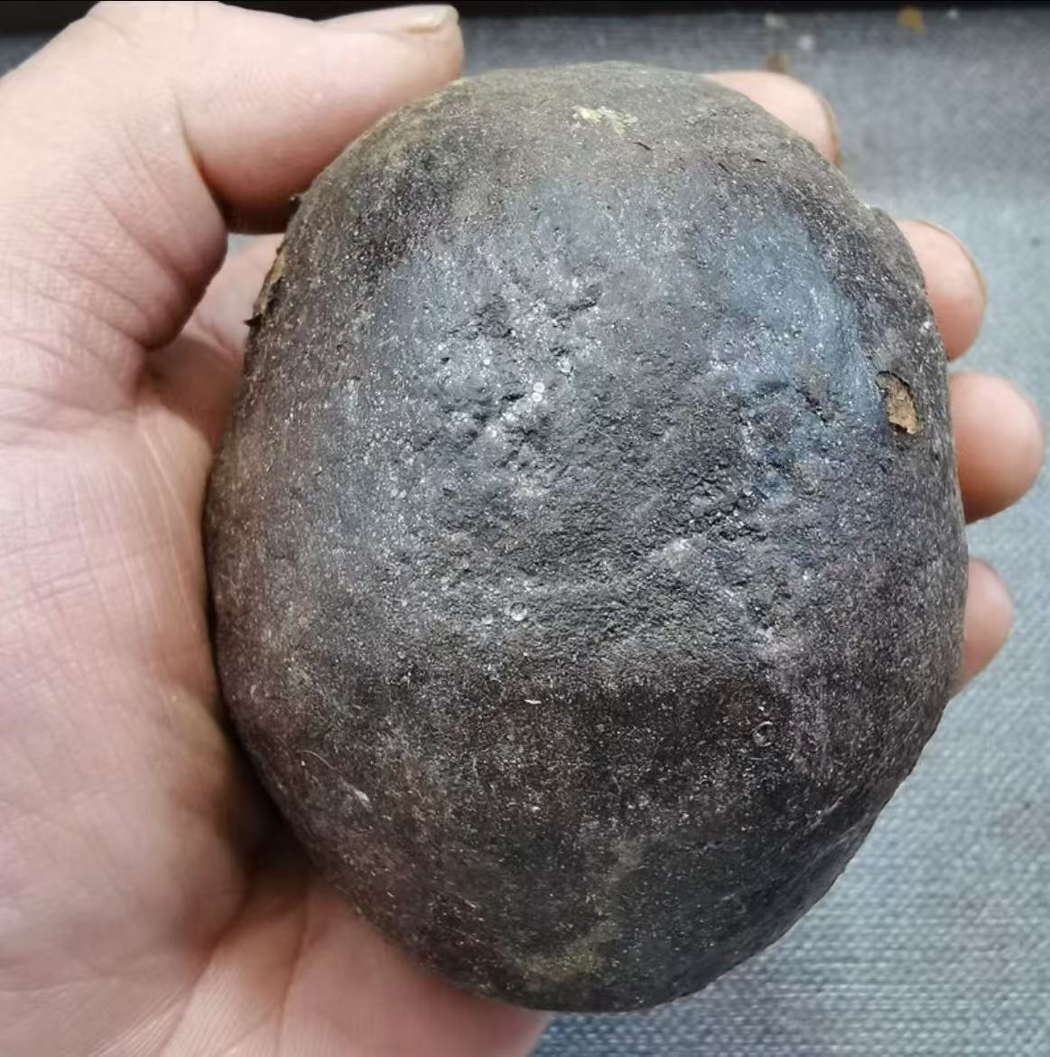 【精选巨无霸风化老果】脖挂件创意饰品【开果不退】