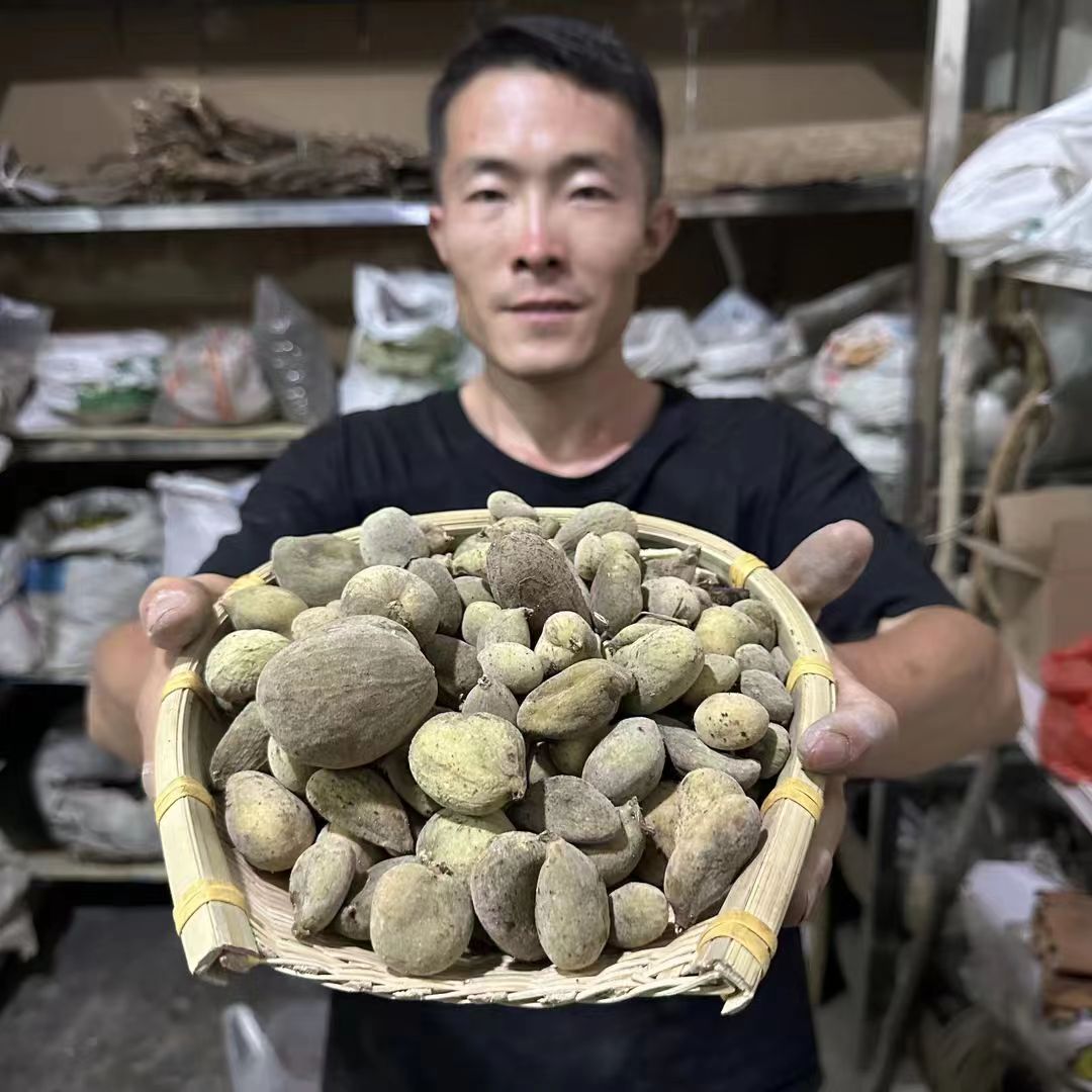 五倍子 甘肃野生五倍子 百虫仓 今年新货整颗的150g 