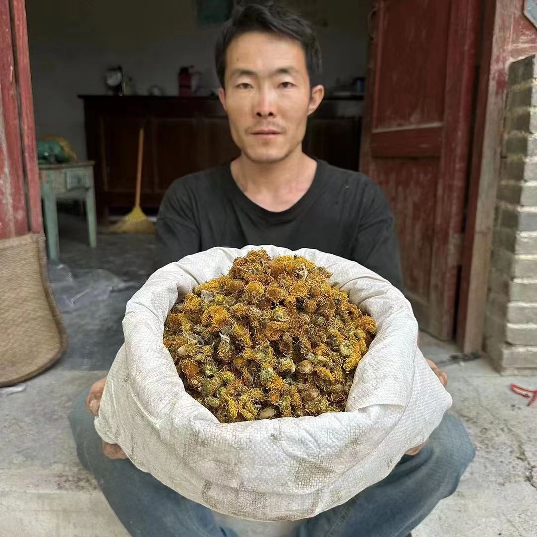 旋覆花 甘肃野生旋复花 非种植无硫旋覆花150g