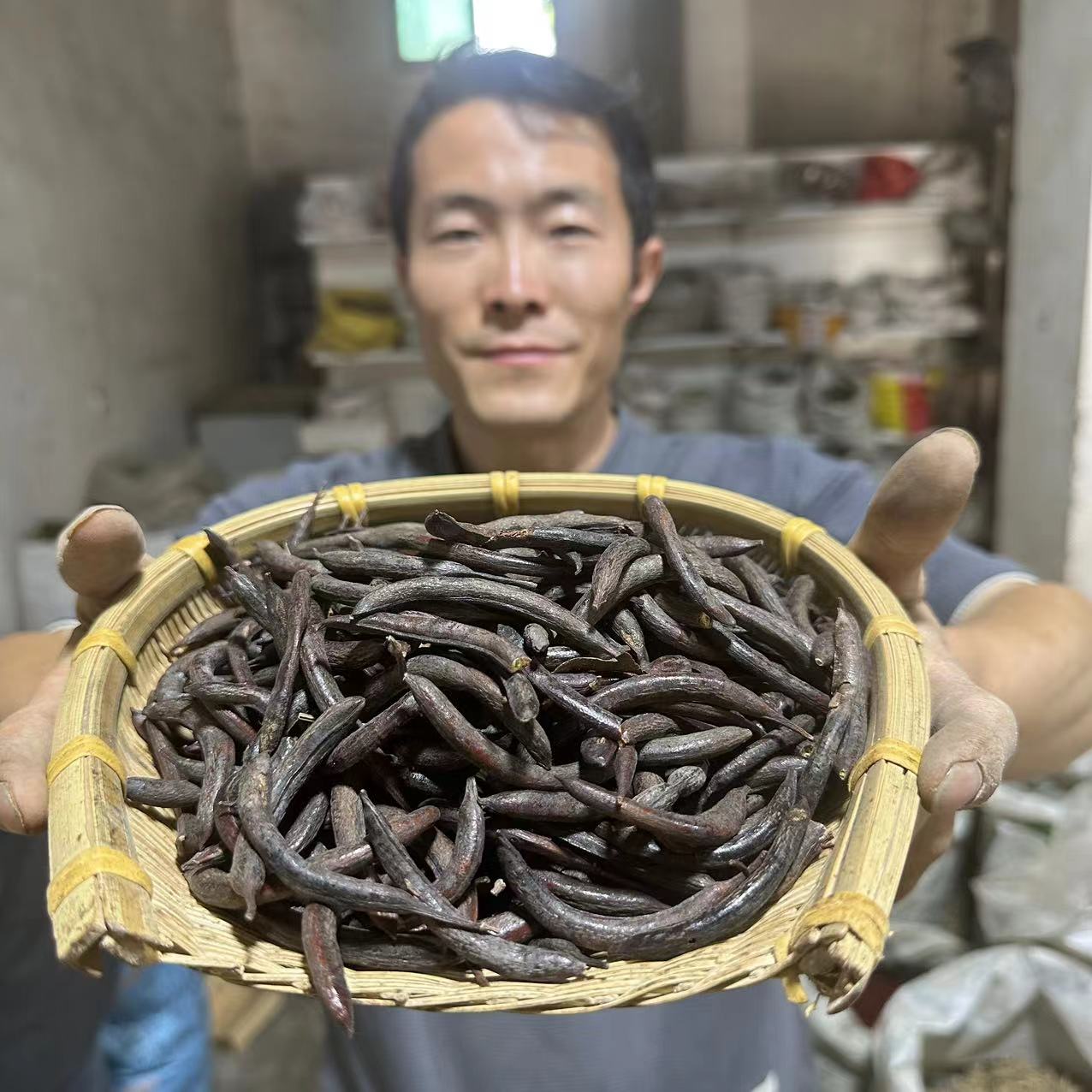 皂荚 甘肃皂角 猪牙皂荚 山里地里采摘的无硫皂角150g