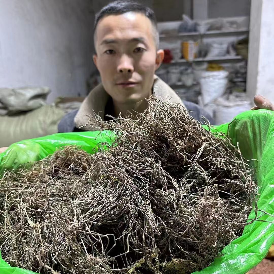 白花蛇舌草 甘肃野生白花蛇舌草 整个未切段150g 