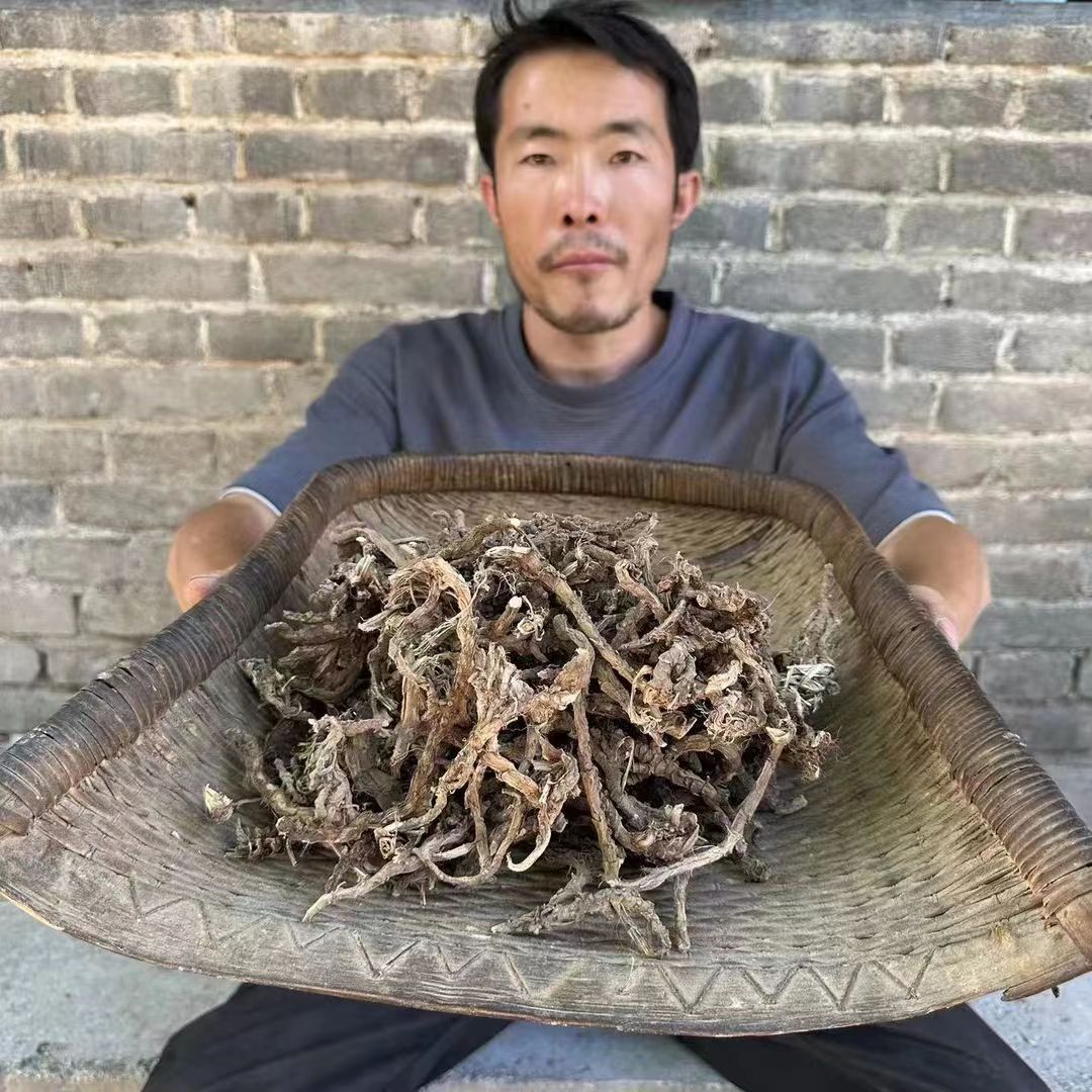 石菖蒲 甘肃野生石菖蒲 无硫石菖蒲 整根未切片100g 