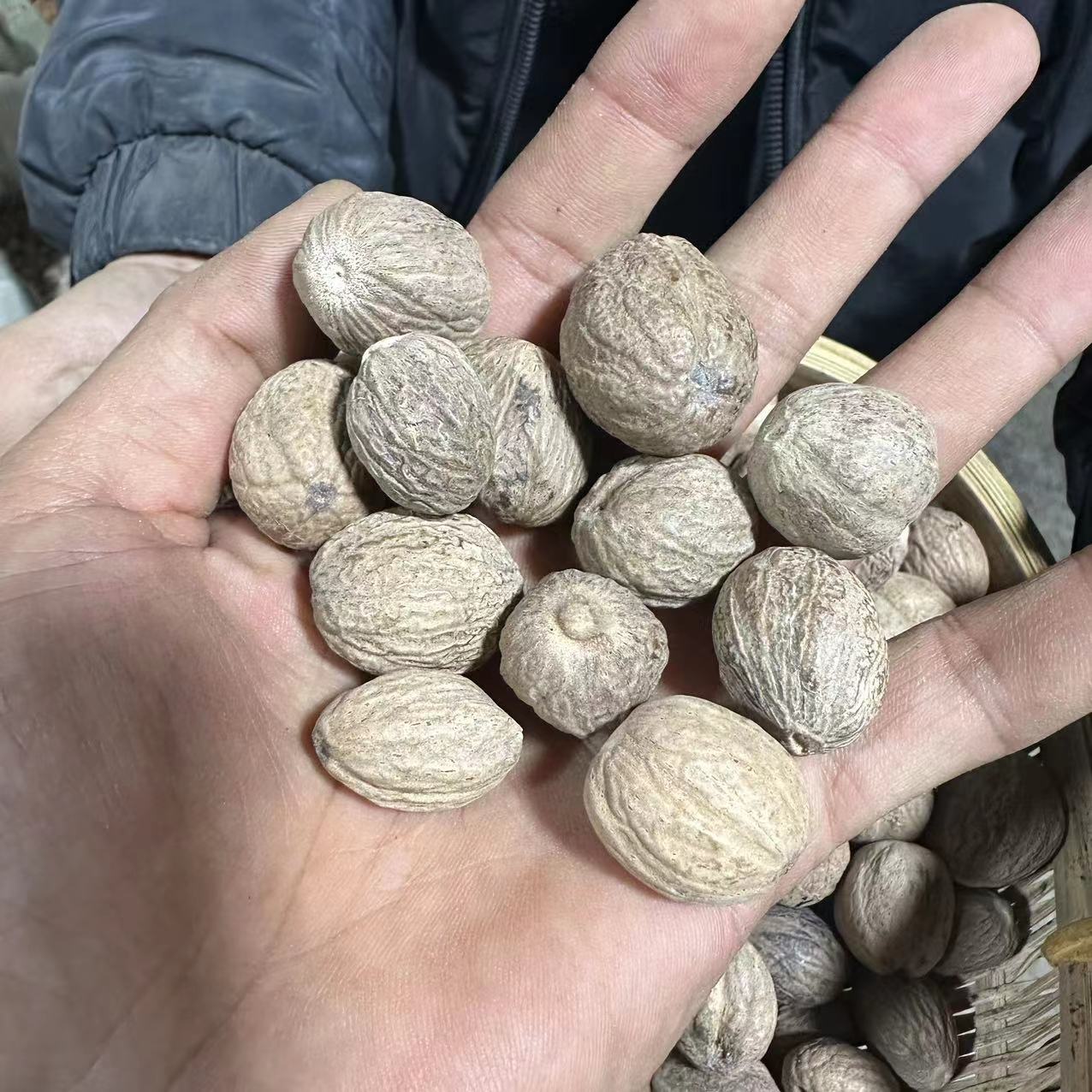 肉豆蔻  云南种植肉豆蔻  无硫豆蔻150g