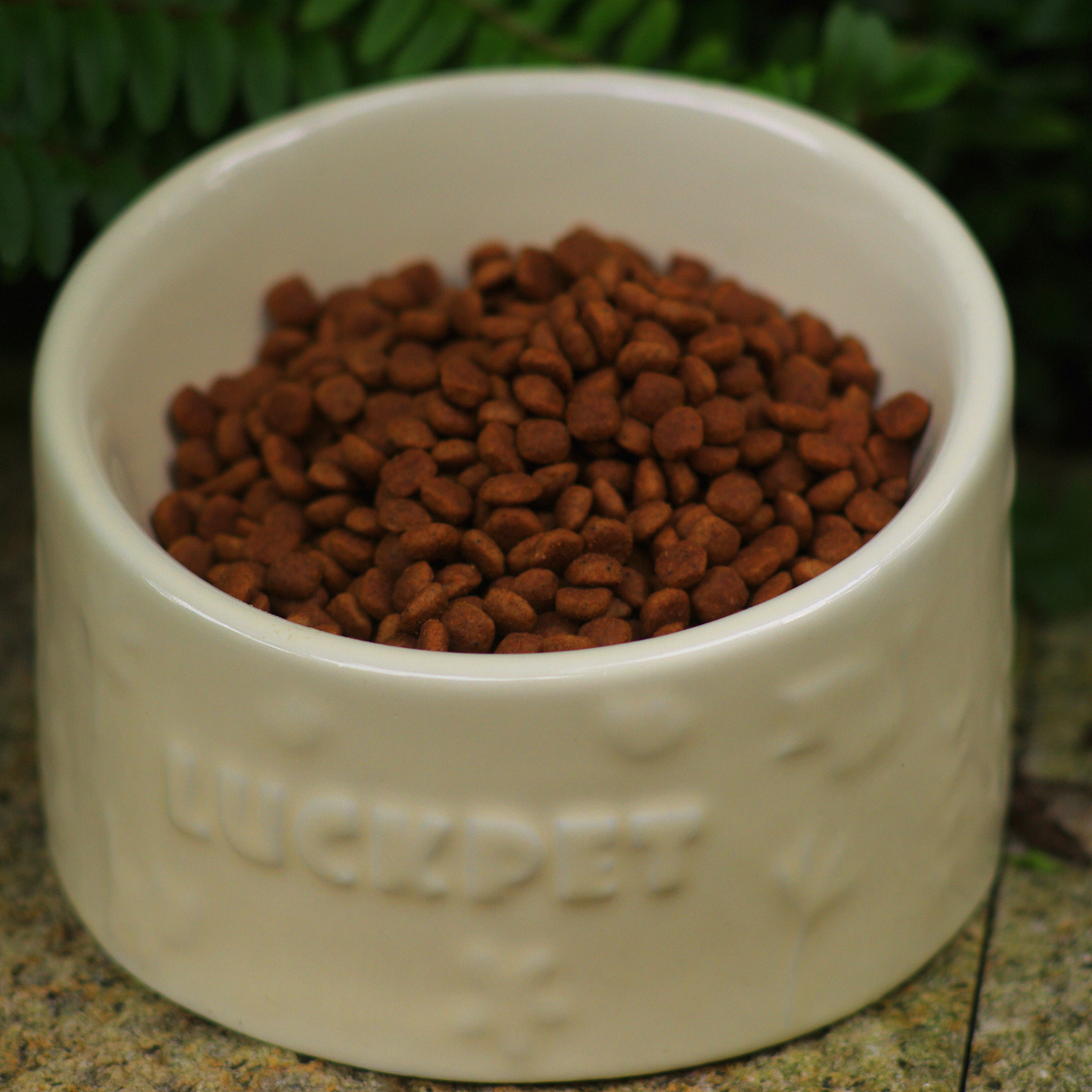 昆虫计划蛋白犬粮 | 首单赠送50g 不添加诱食剂和防腐剂|基地直发