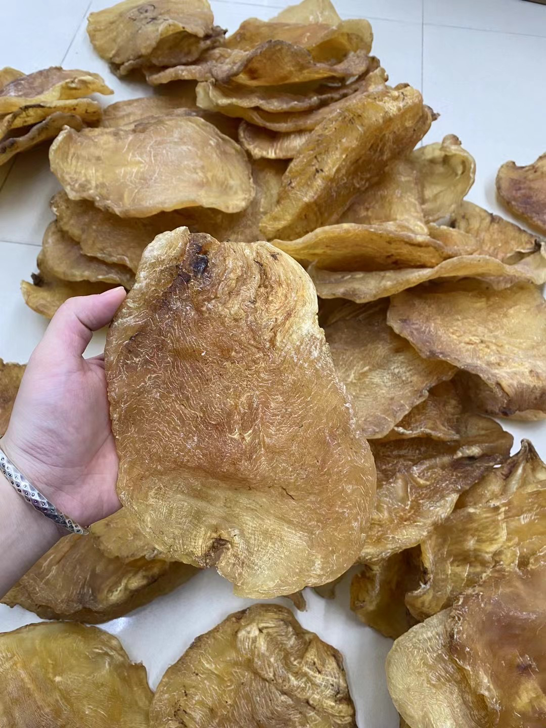 老斗湖鱼胶直播间现称按个直播间专用改价1～500g