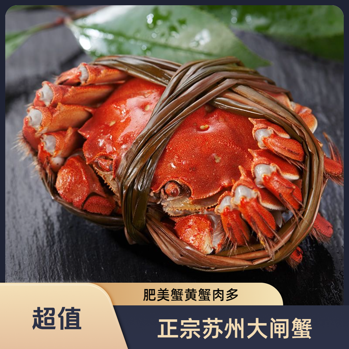 【活蟹】全公蟹苏州精品大闸蟹3两公10只 去绳裸重顺丰冷链礼盒发货