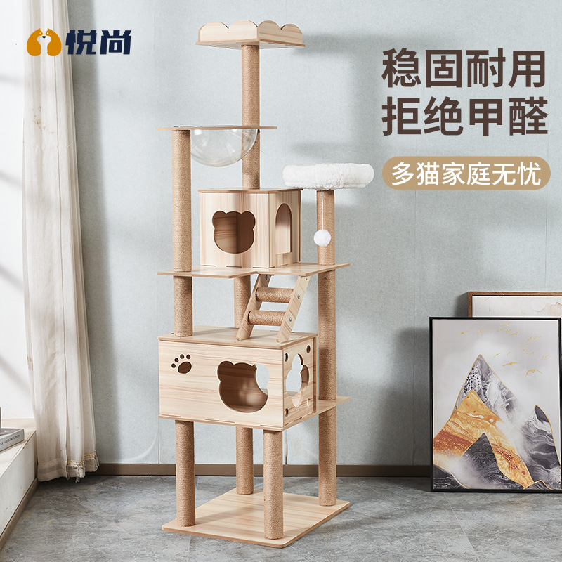 猫梯子爬架猫窝猫笼太空舱隧道室内跳台四季通用大型猫咪猫架用品