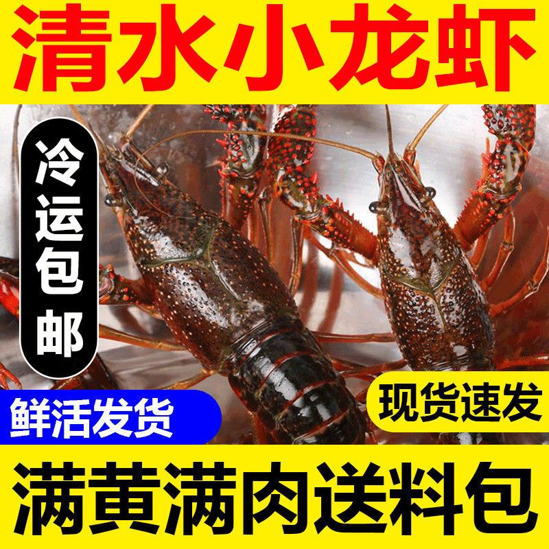 清水虾中红789小龙虾3斤鲜活新鲜活体活虾批发大虾满肉青龙满肉