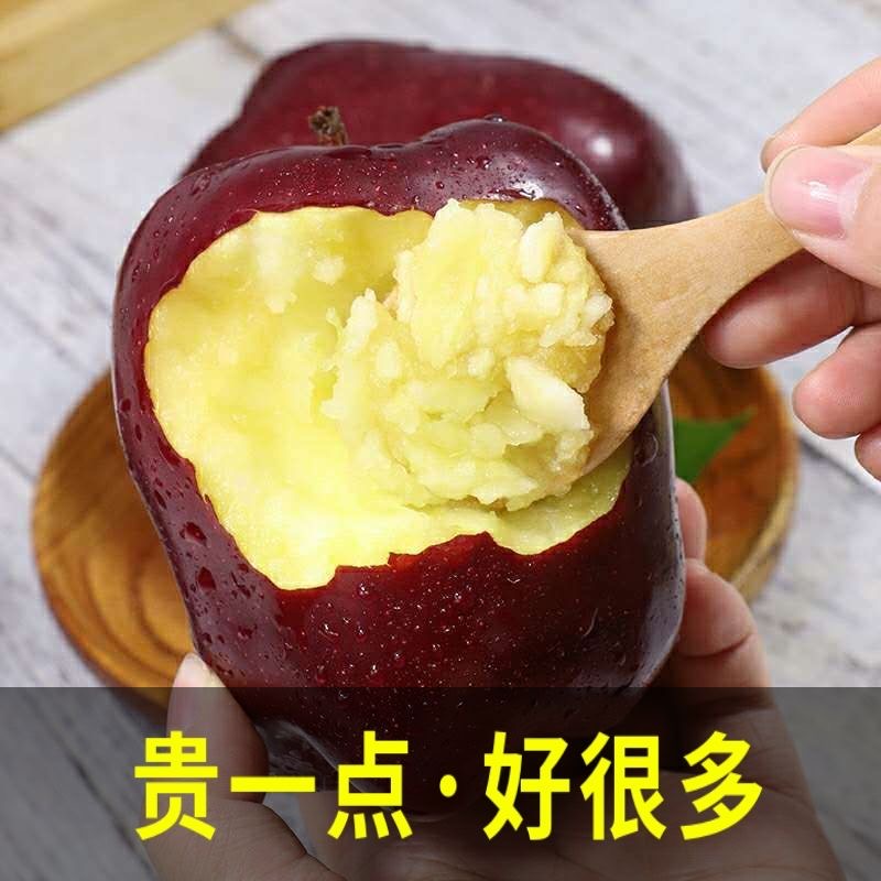 甘肃天水花牛苹果粉面刮泥红蛇果-中果