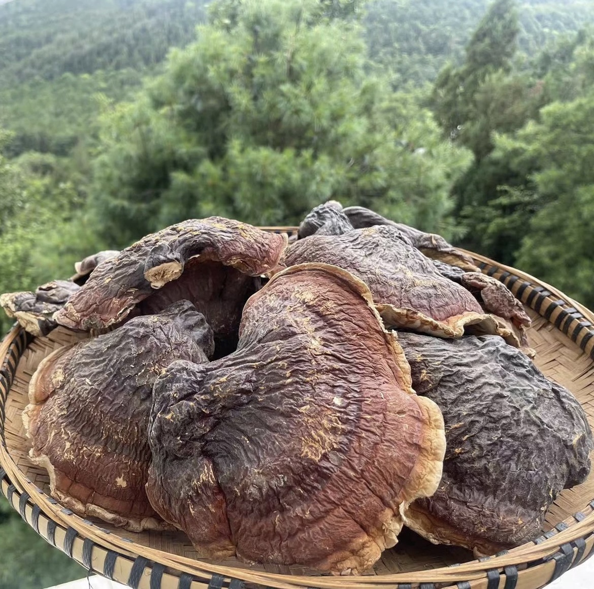 【松、衫、柏、肉、琳、之】农产品，干货无硫，净含量250g-1000g