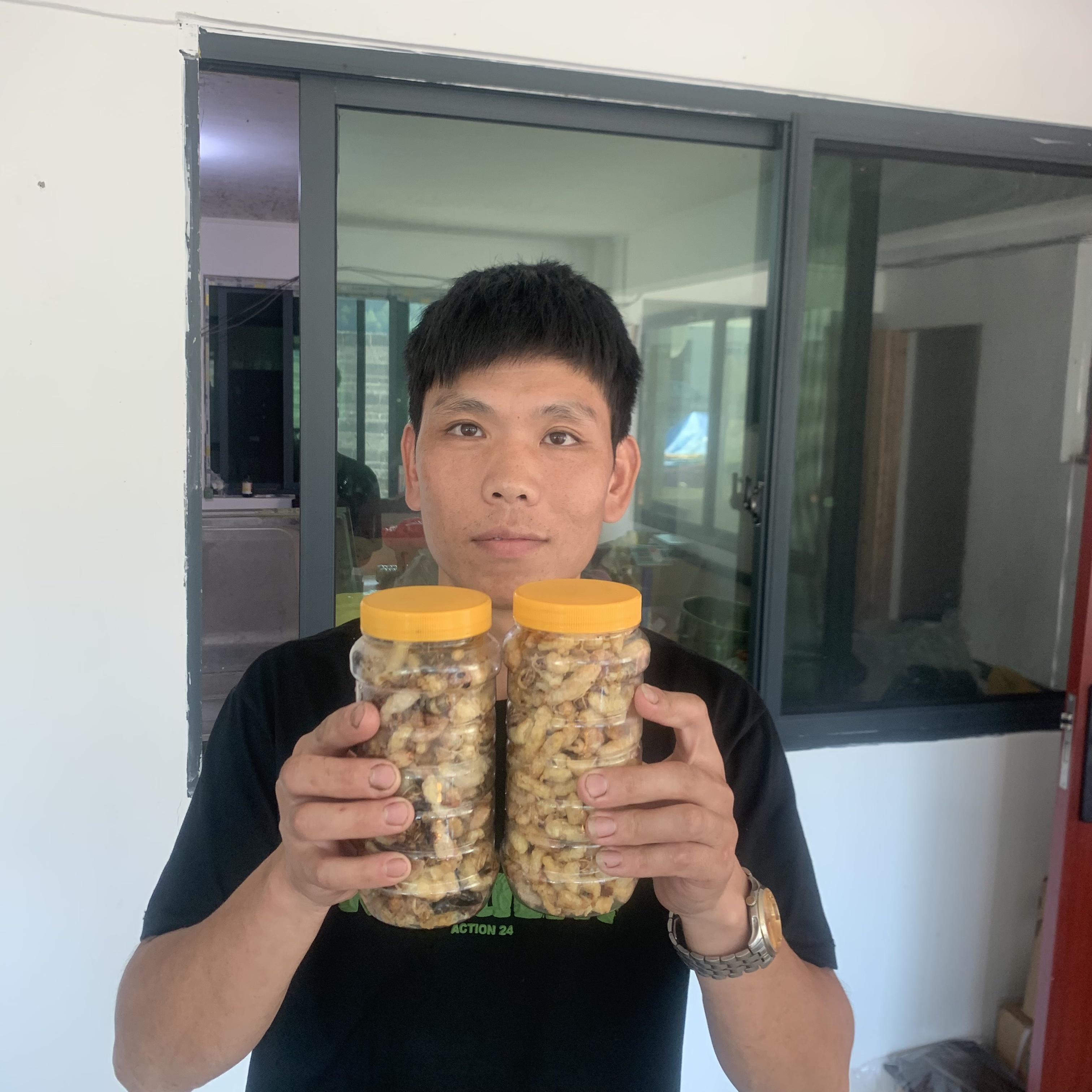 城步虎头蜂油炸混合蜂蛹