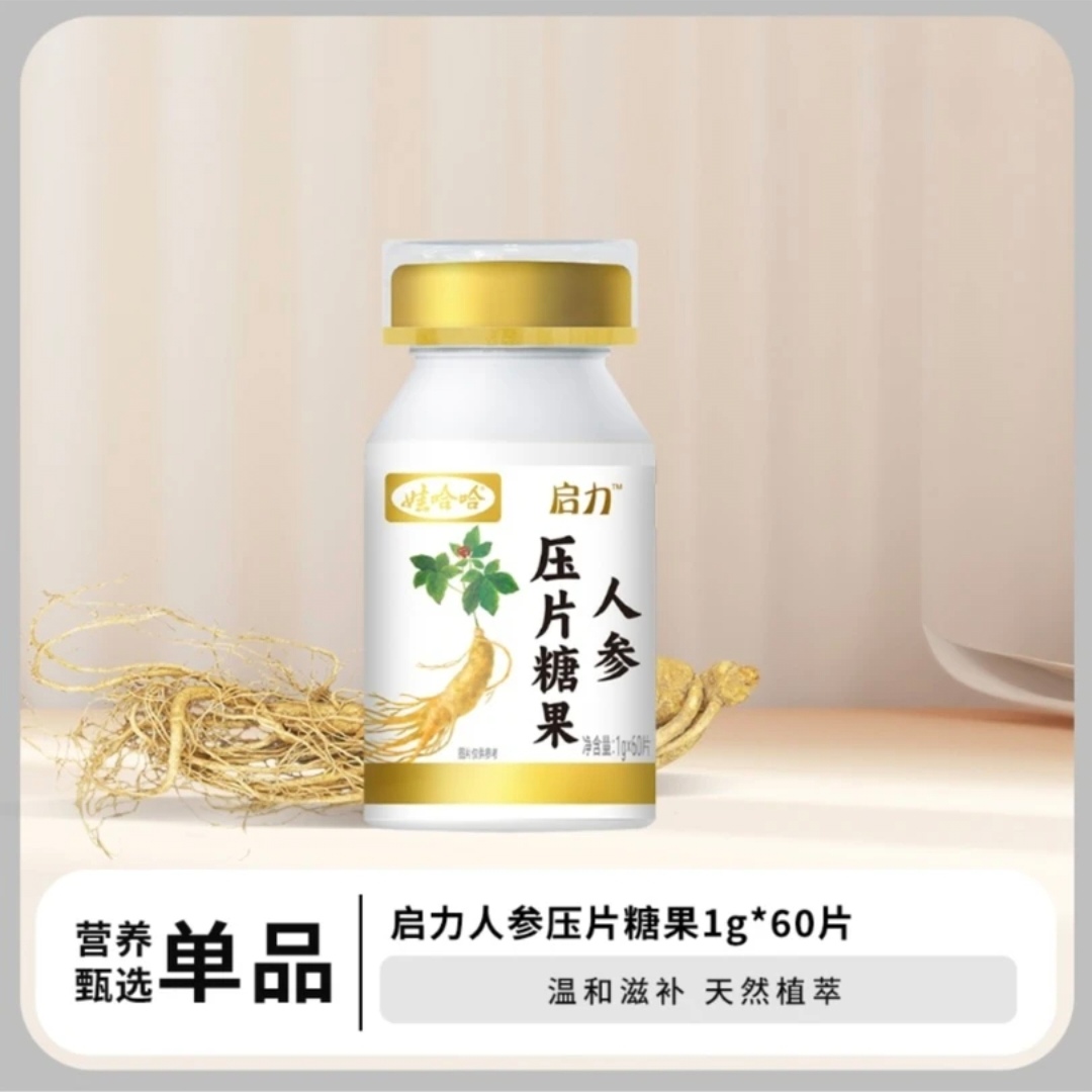 启力人参压片糖果60片/瓶营养即食咀嚼食用滋补充能正品保证现货