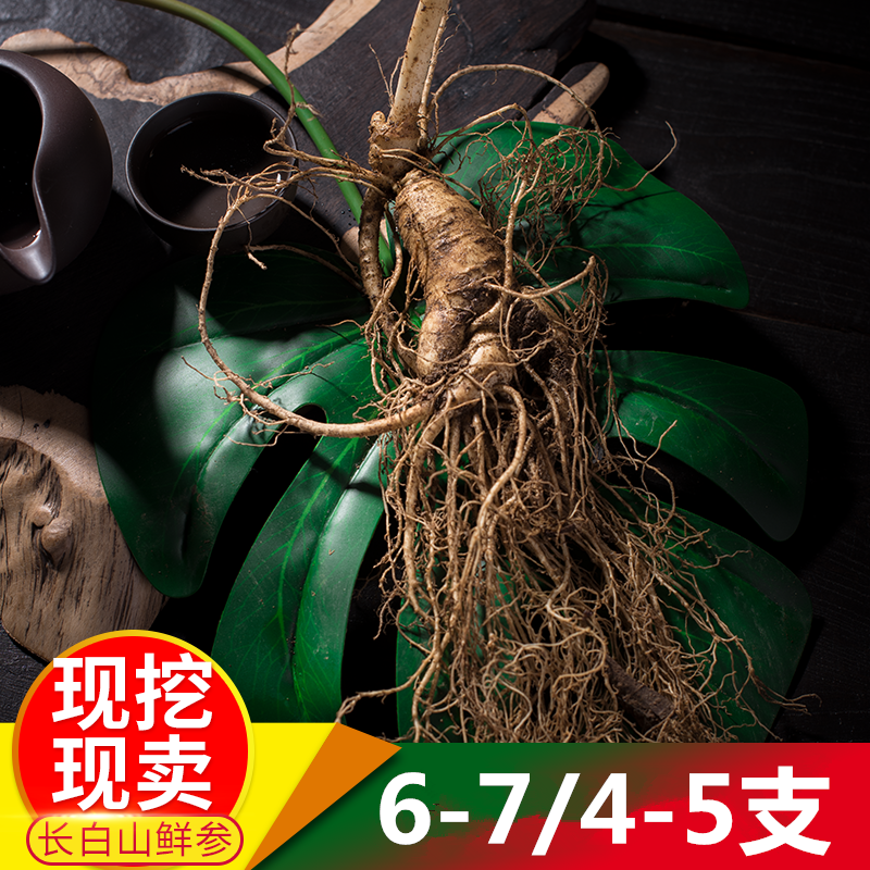长白山鲜人参6-7支优质大人参新鲜人参泡酒煲汤送礼鲜参晒干产地