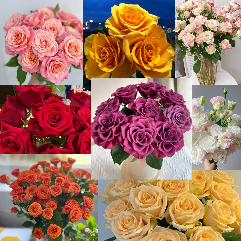 【N881号搭配花材1箱】冷链发货（直播一物一拍）家用装饰水养插花