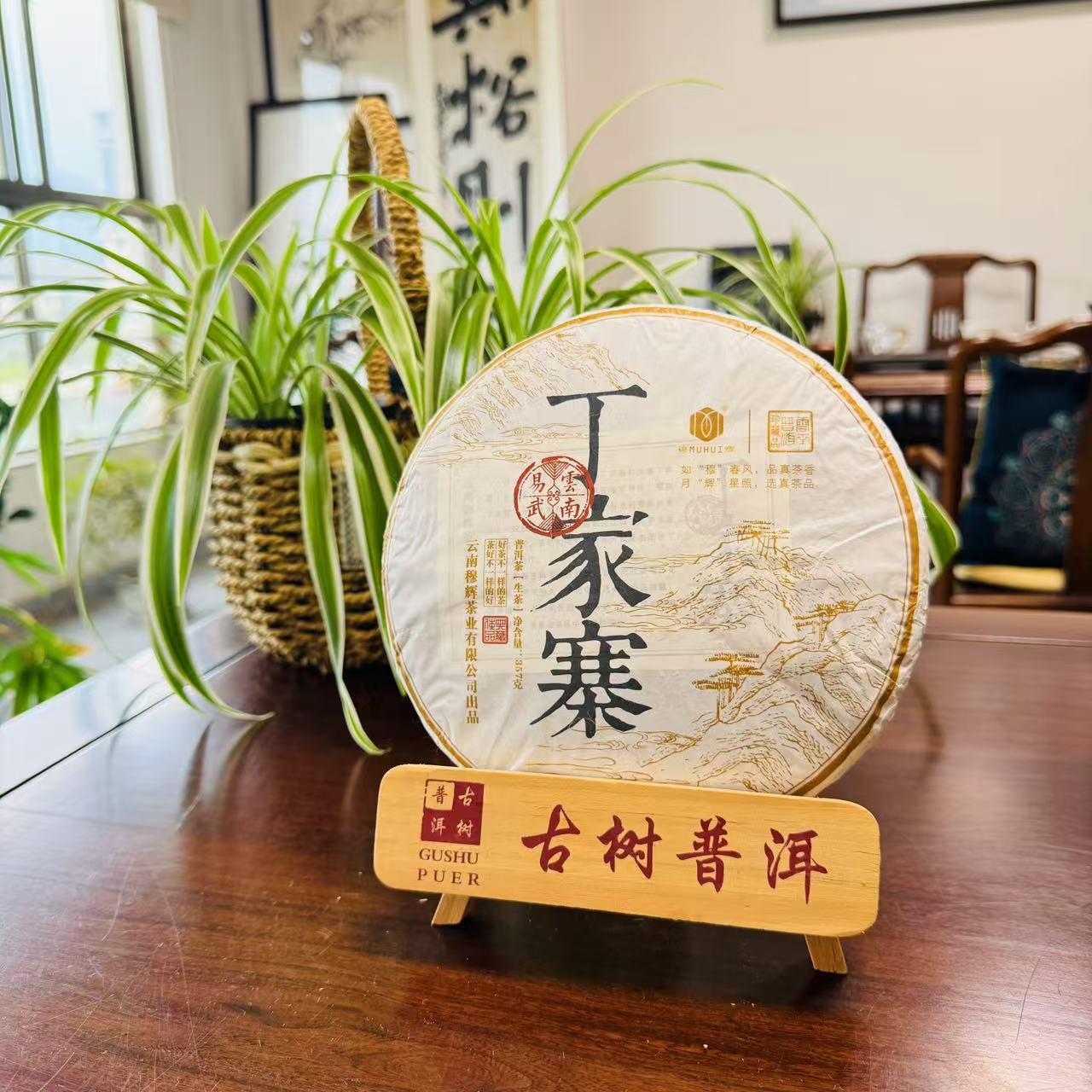 2022年【丁家寨】云南普洱生茶357克紧压饼普洱茶特色上等生普洱