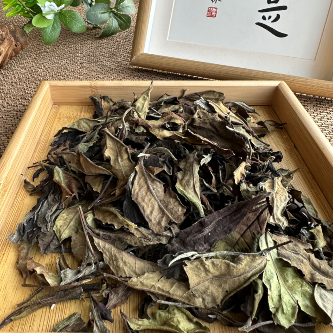 2018年云南白茶【古树白茶】普洱白茶散茶