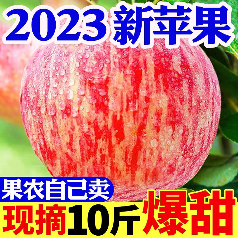 山西运城脆甜红富士苹果新鲜水果多汁应季现摘水果整箱重量 2-10