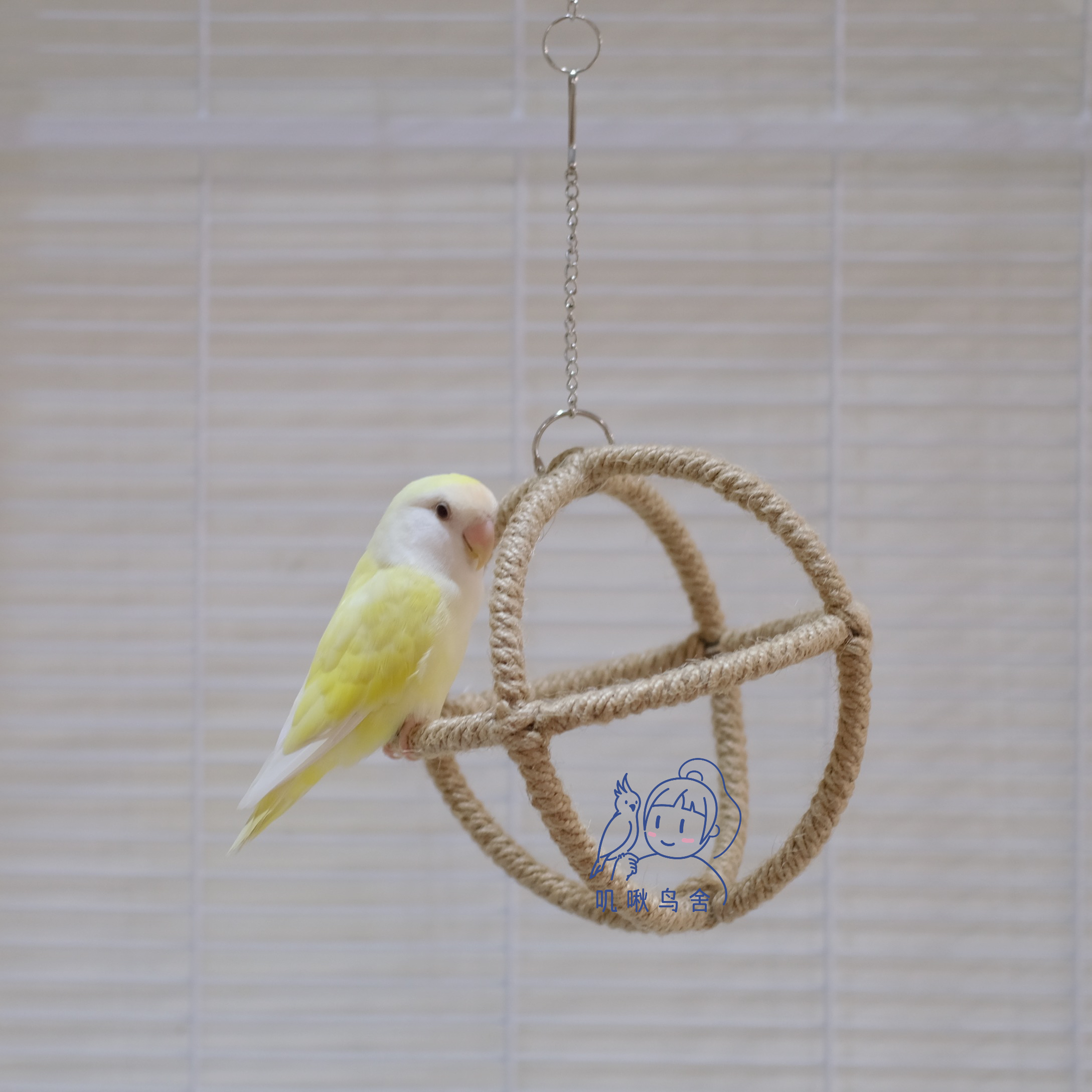鹦鹉玩具啃咬玲珑球 吊环麻绳鸟玩具 吊环秋千玩具