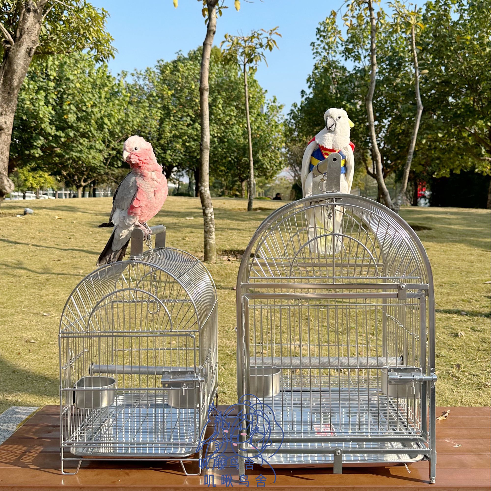 中大型鹦鹉外出笼 不锈钢外出笼