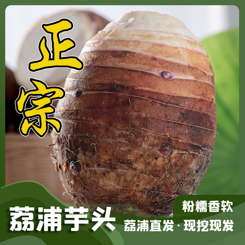 【正宗荔浦芋头】新鲜自家种植 现挖现发粉糯香甜 