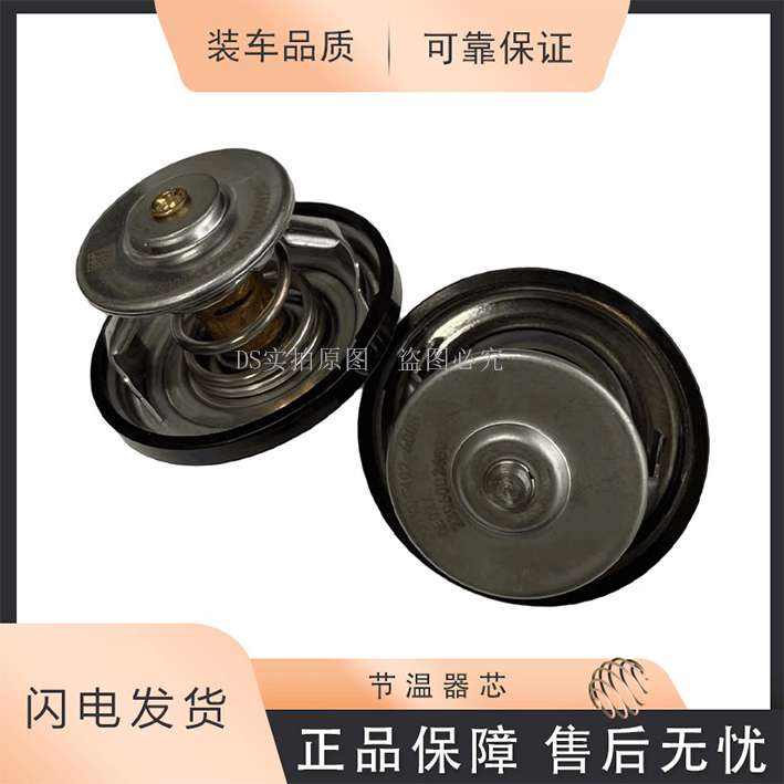 重汽曼发动机 MC11 MC13 MT13 原厂节温器芯