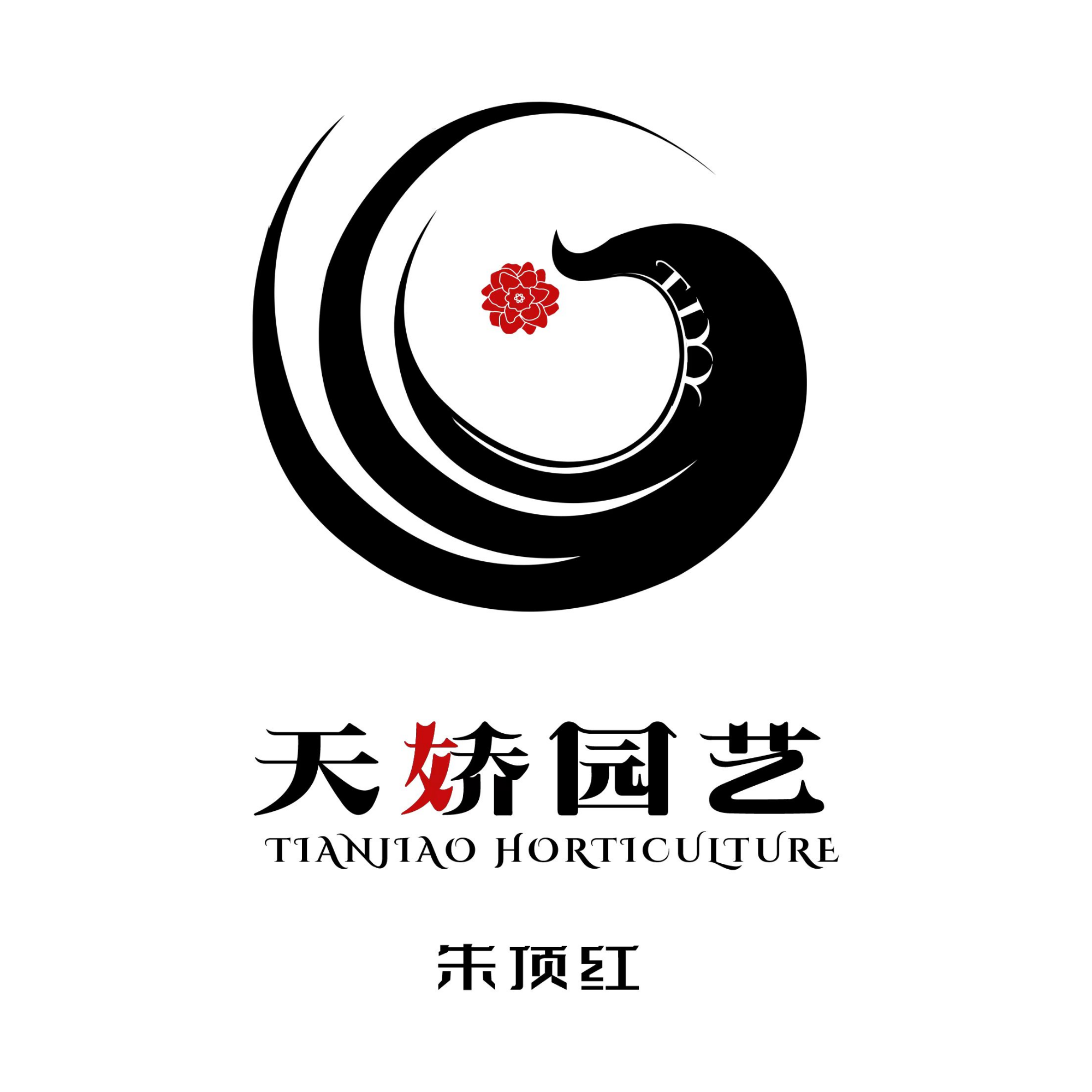 直播间一物一拍朱顶红（黄叶蔫叶属正常情况，不包养护，不接受慎拍）