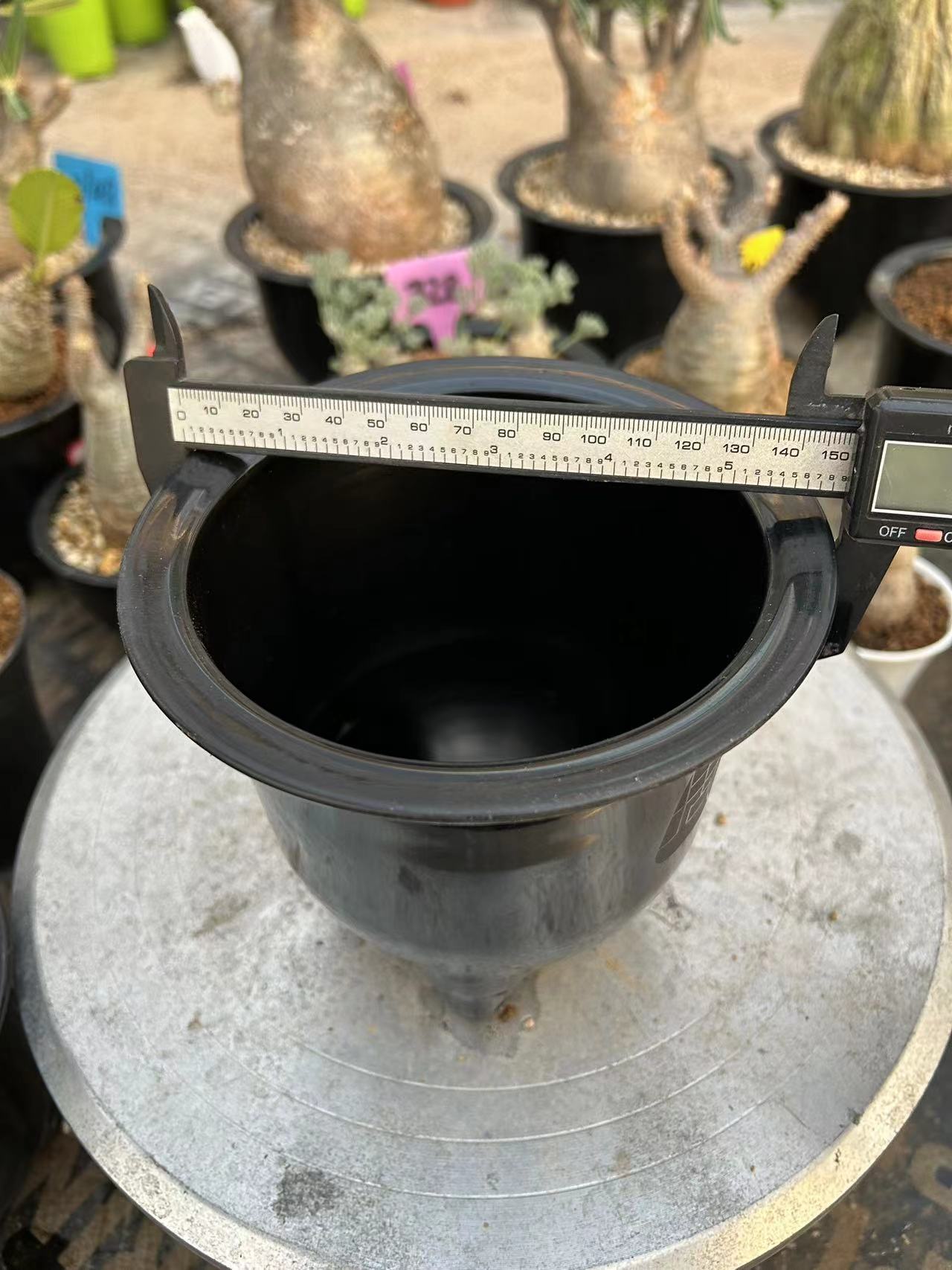 块根仙人球专用花盆两个，默认发货规格大号+小号。包邮价