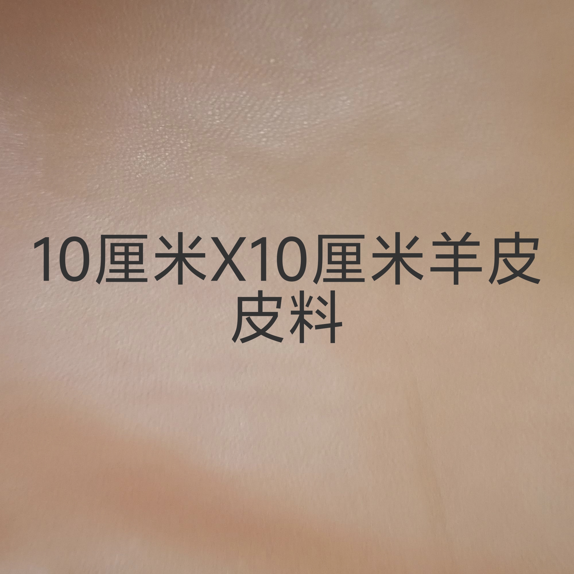 定制女装 手工皮料 拆解利用