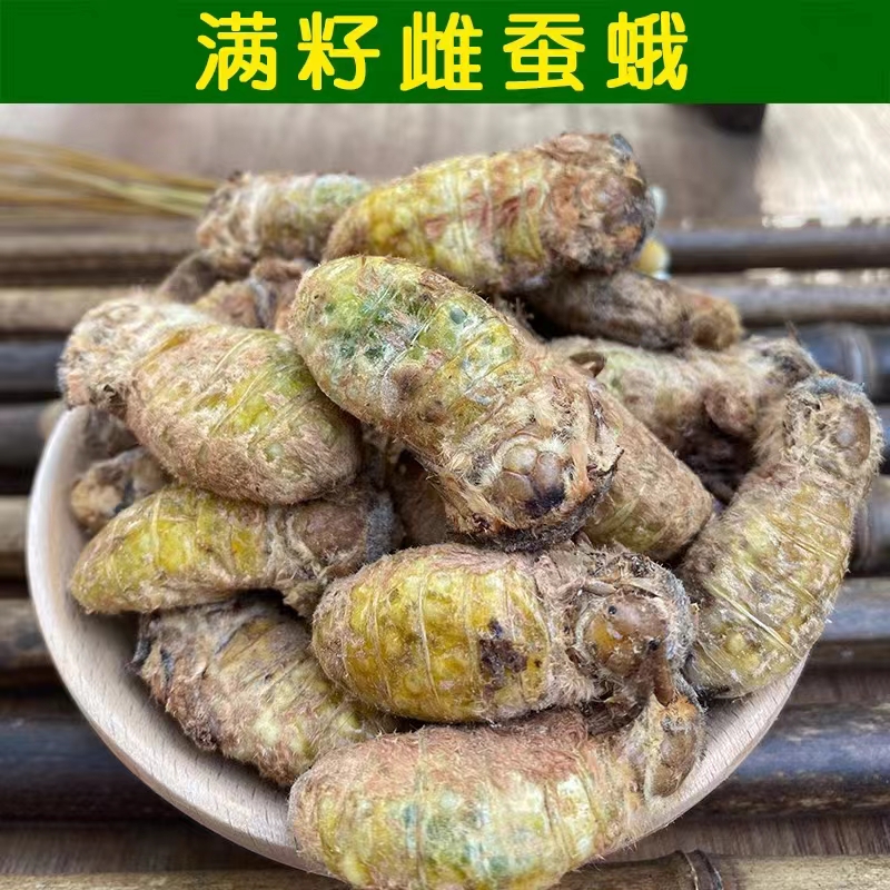 辽宁省西丰县母蛾速冻一斤起包邮