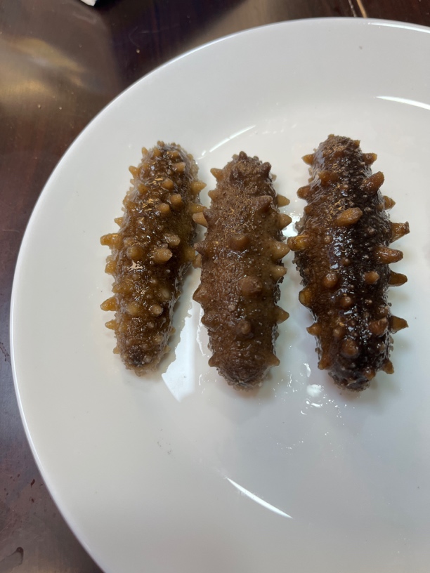【海参】大连鲜食海参       