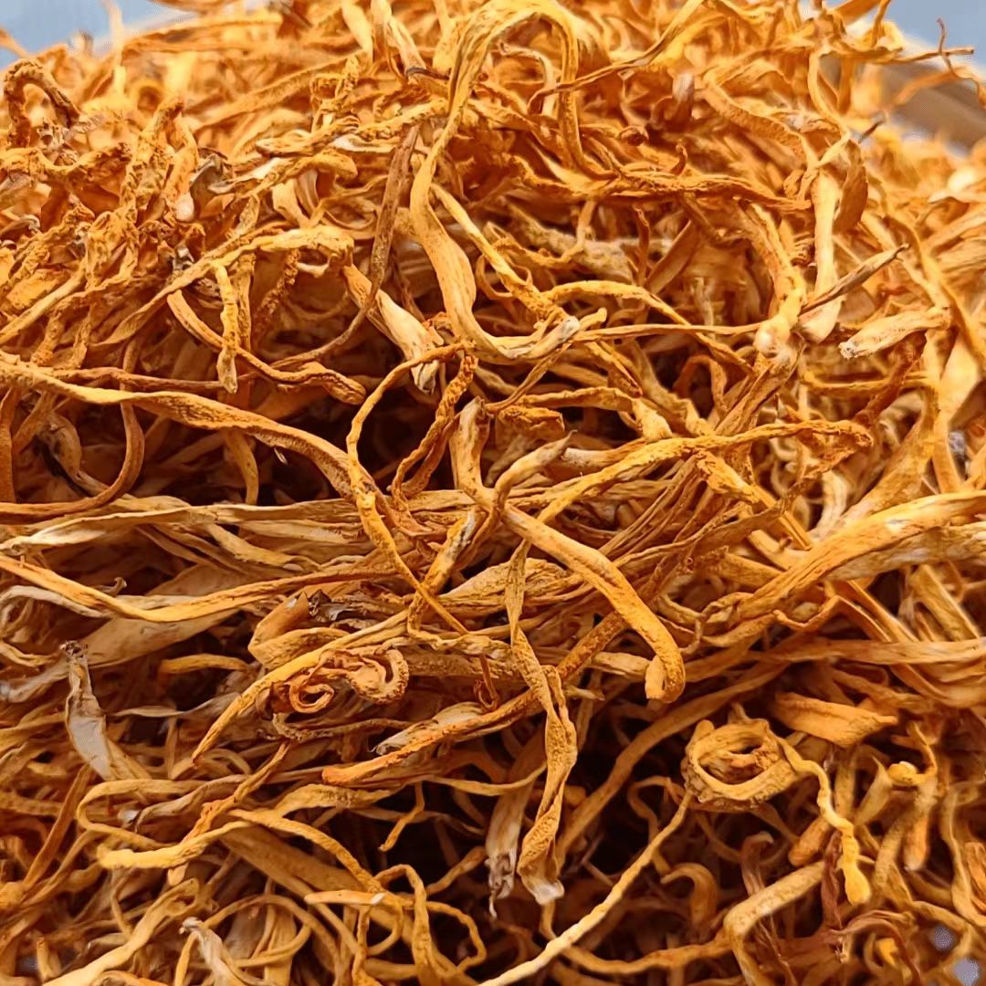 【阿海精选】土特产虫草花