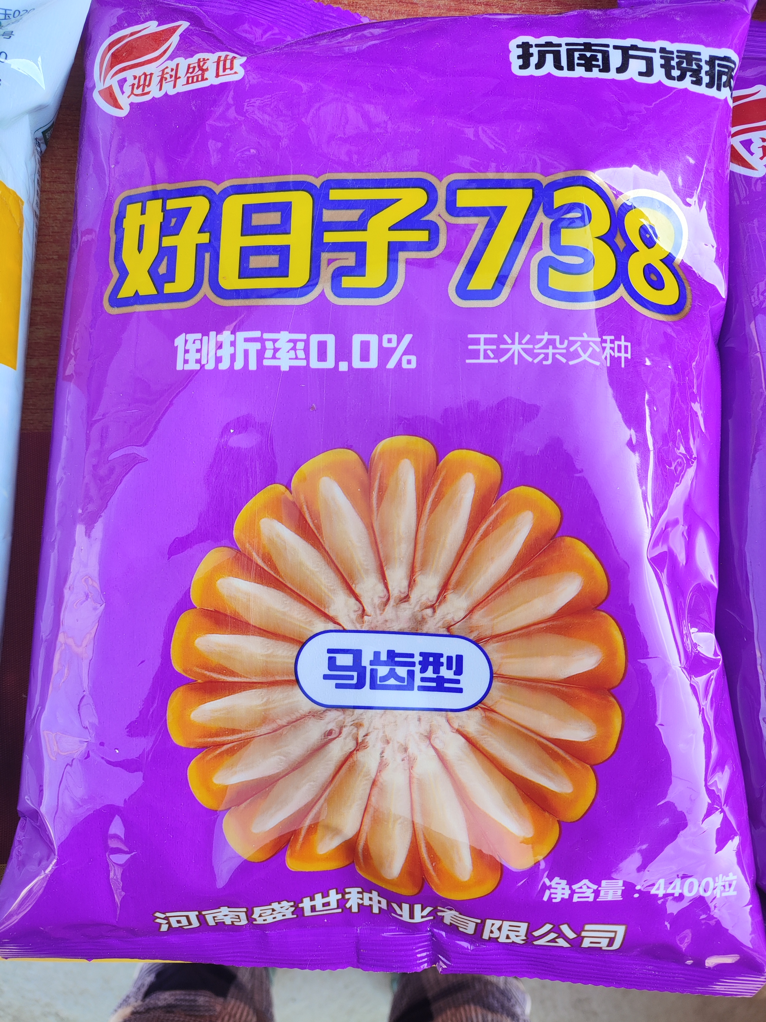 好日子738玉米种4400粒买5袋送1袋