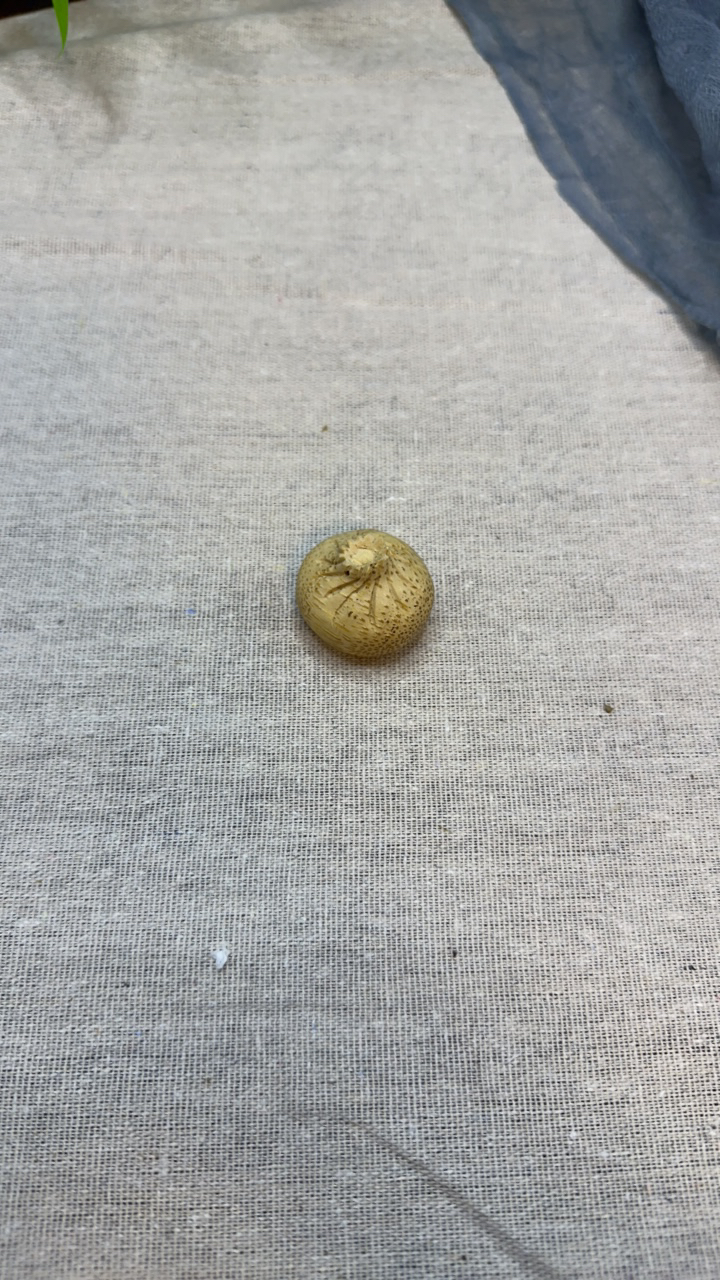 竹根雕包子纯手工