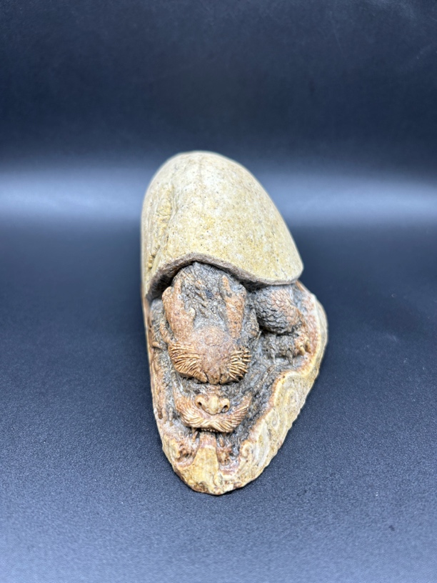 冰碛玉精品茶宠《龙龟》